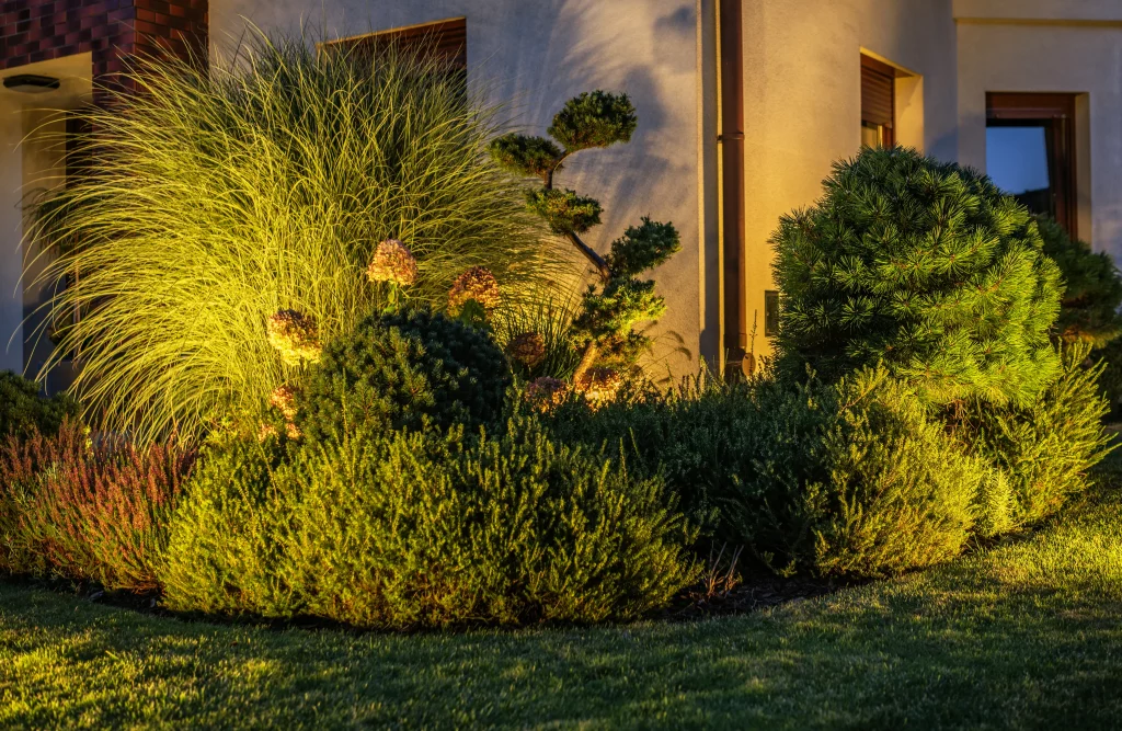 Garden plants illuminated by outdoor LED lighting by Garden Glow