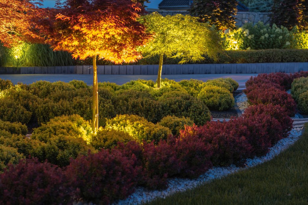 Illuminated landscaping at night by Garden Glow