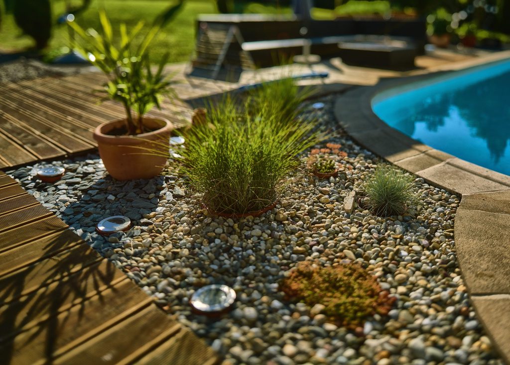Close shot of plants near a pool by Garden Glow