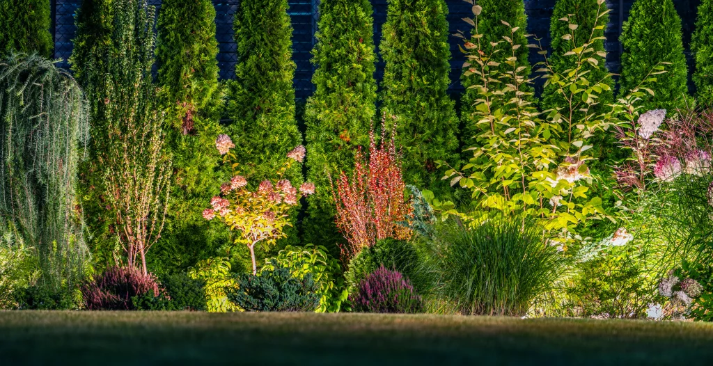 Illuminated matured backyard by LED outdoor garden