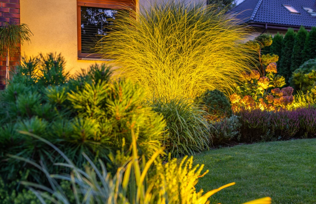 LED outdoor lighting illuminated backyard garden