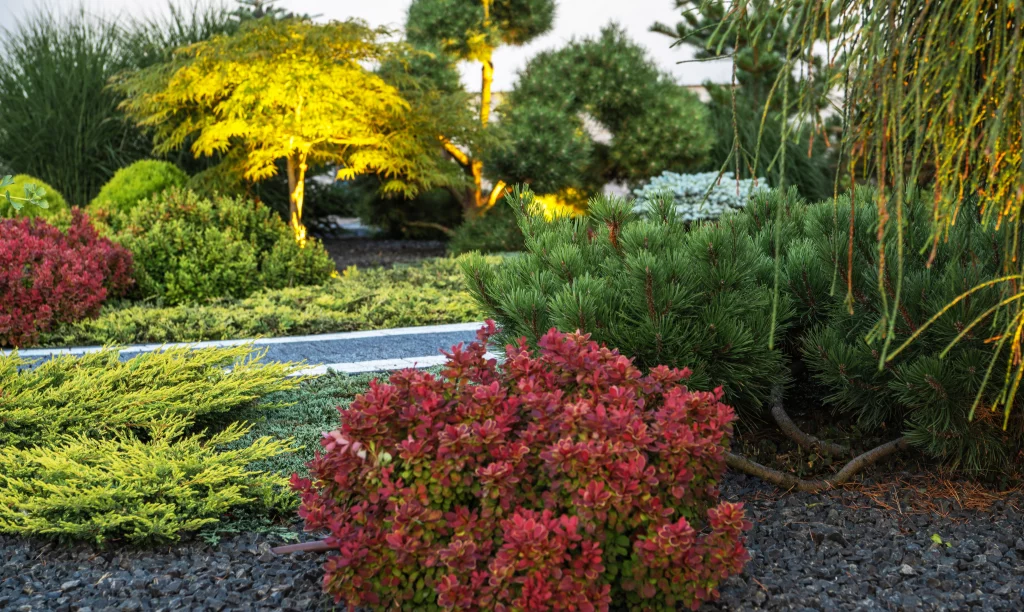 Colorful landscaped garden features diverse plants by Garden Glow