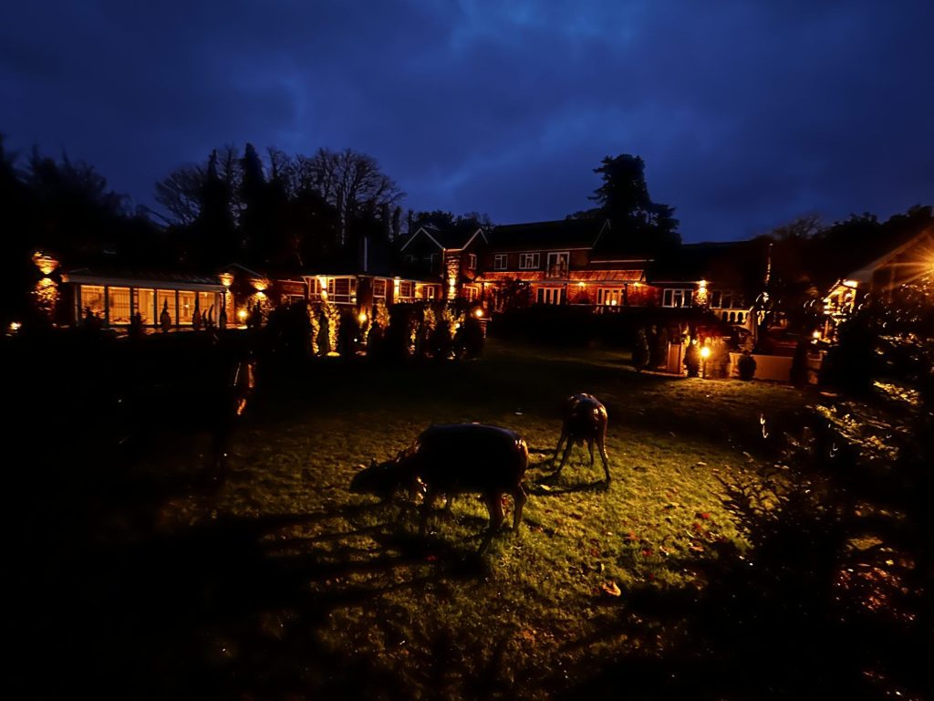 Family home and grounds lit at night, Sevenoaks garden lighting